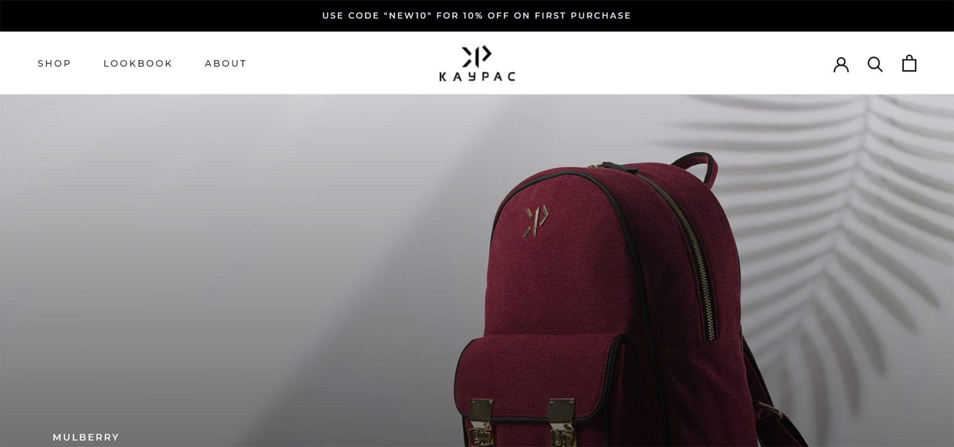 Buy Backpacks and Bags for Men and Women Online in India Kaypac - Starmine Digital Marketing Agency in Navi Mumbai